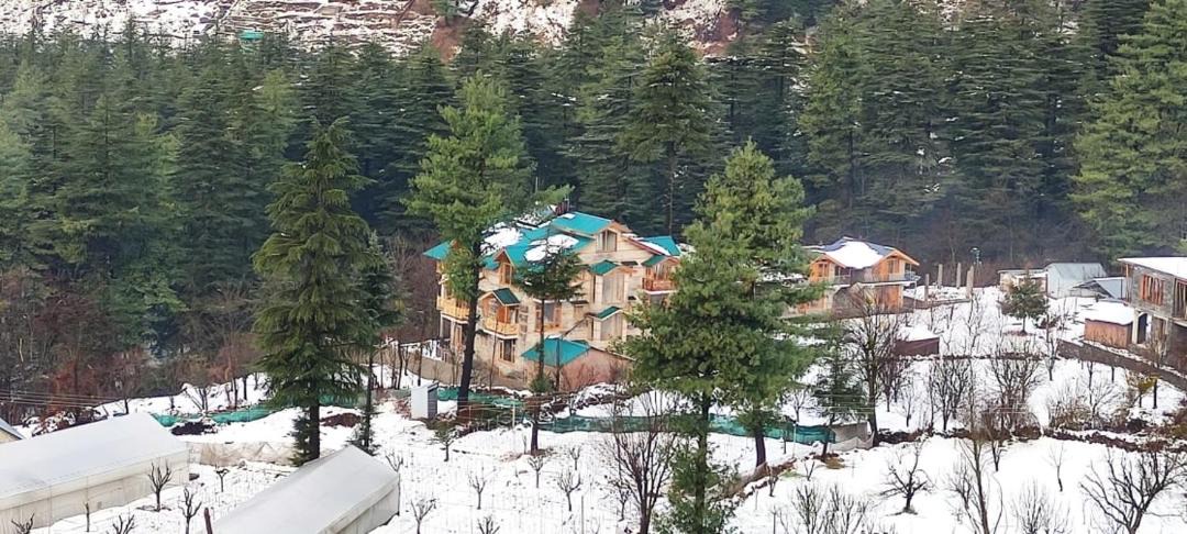 Photo of Others in Manali