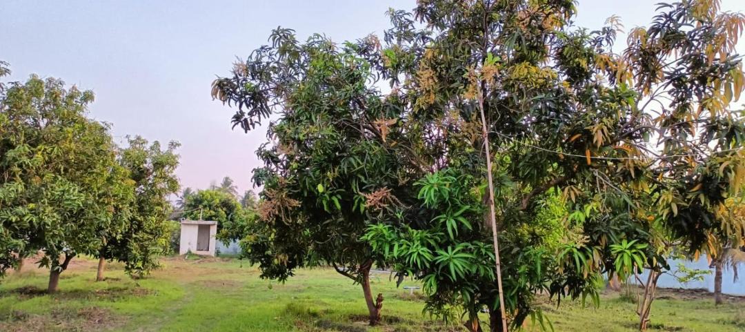 Photo of Others in Kalpakkam