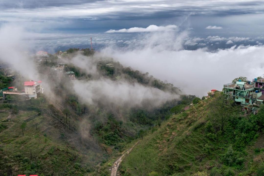 Photo of Others in Kasauli