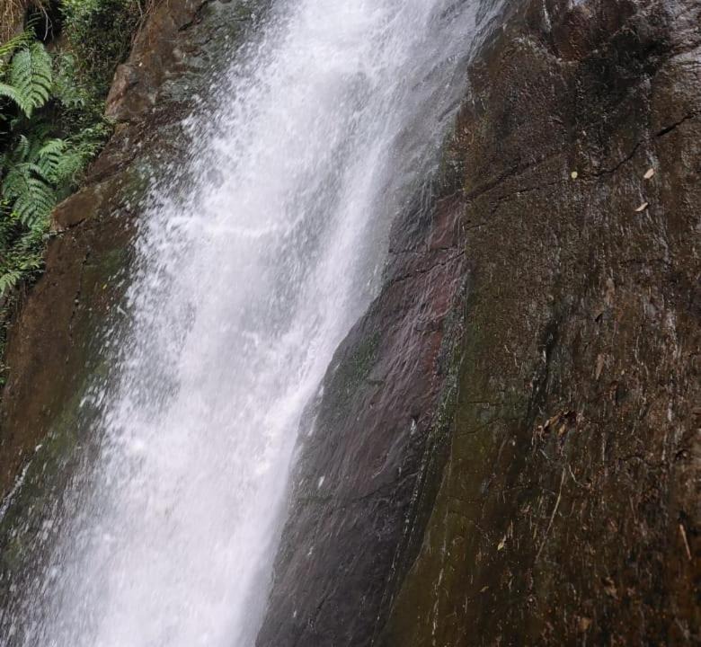 Photo of Others in Chikkamagaluru