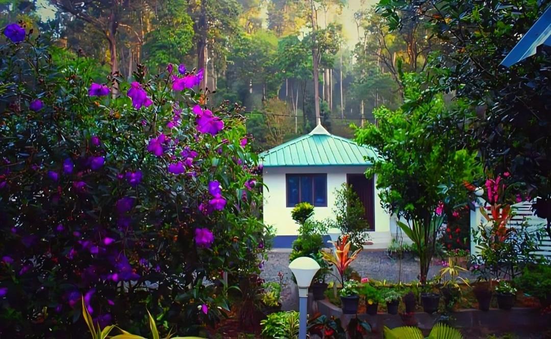 Photo of Others in Devikolam