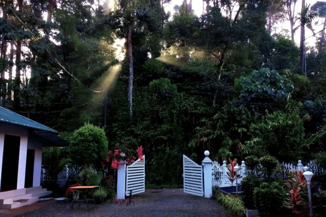 Photo of Others in Devikolam