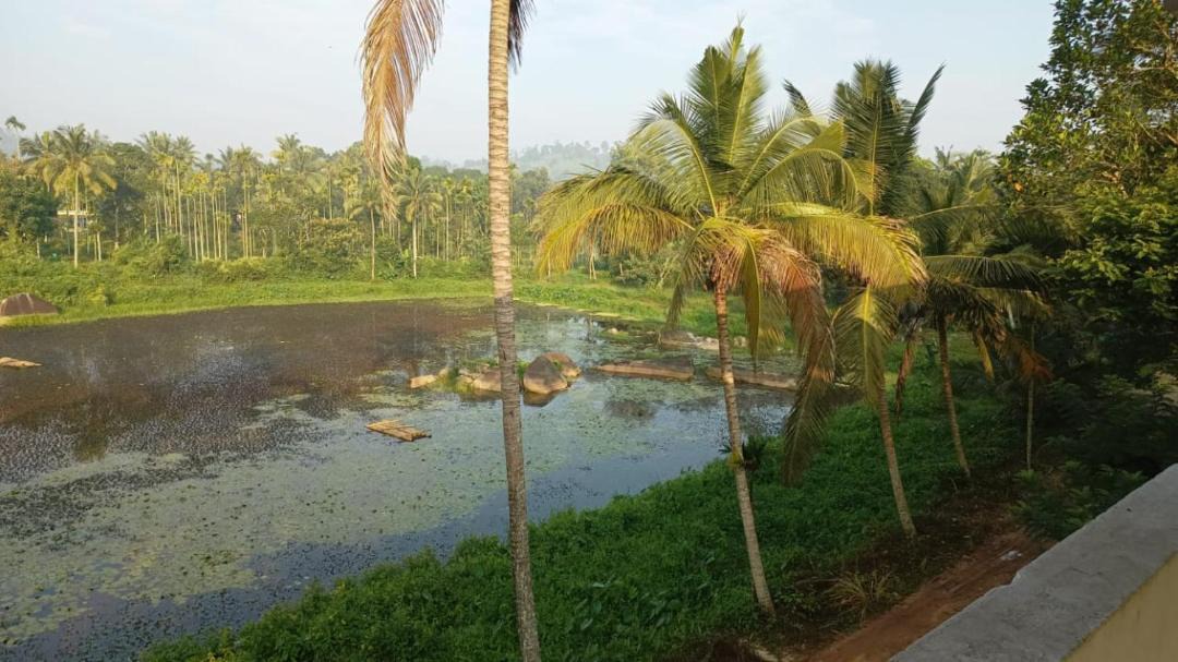 Photo of Others in Kalpetta