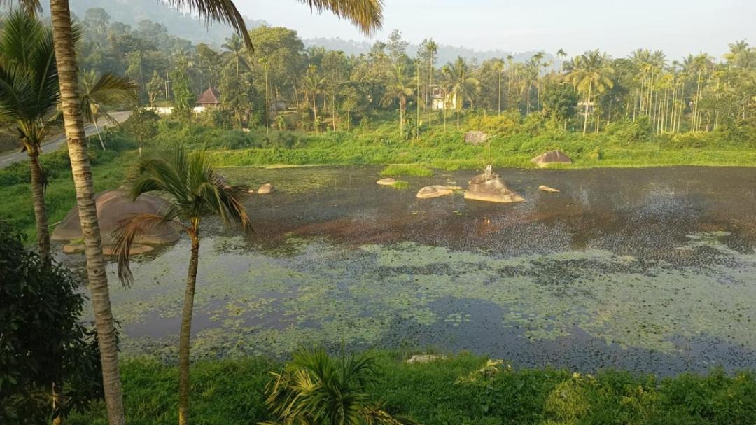 Photo of Others in Kalpetta