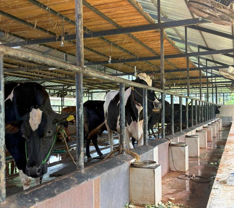 Photo of Others in Palakkad