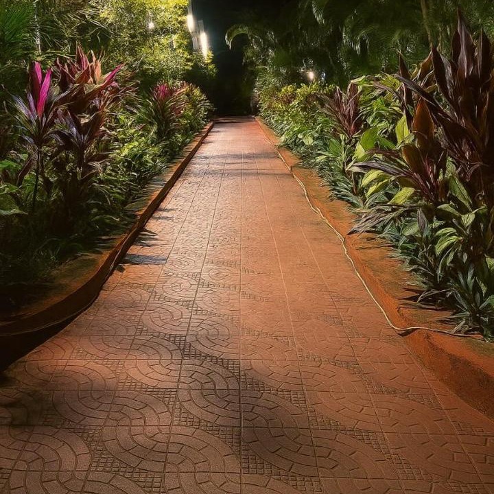 Photo of Others in Sainagar