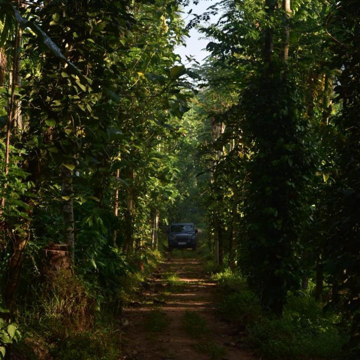 Photo of Others in Kothamangalam