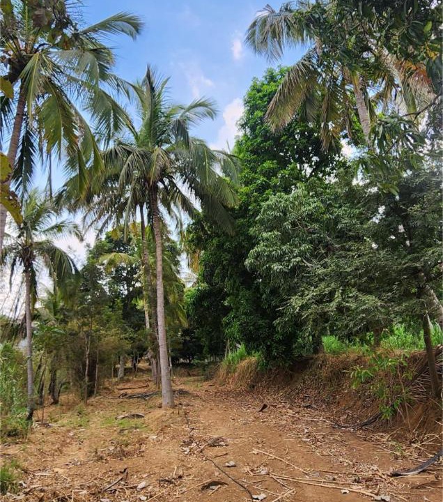 Photo of Others in Kanakapura