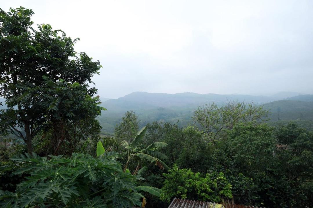 Photo of Others in Elappara