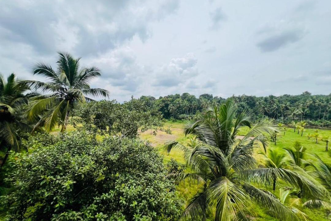 Photo of Others in Malappuram