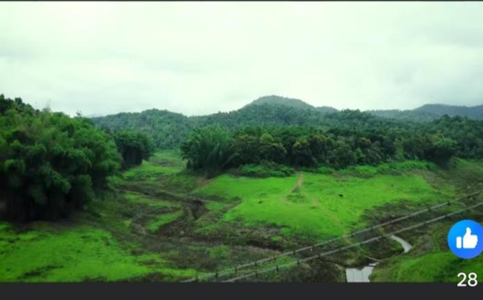 Photo of Others in Elappara