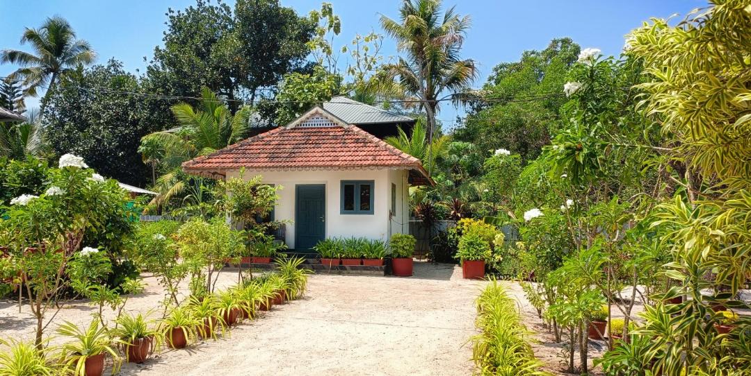 Photo of Others in Mararikulam