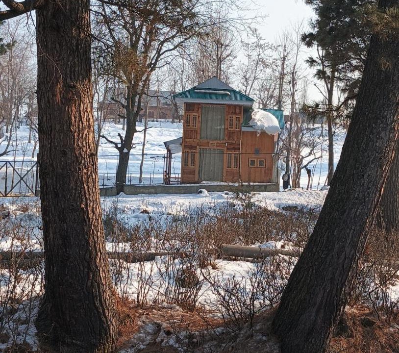 Photo of Others in Srinagar