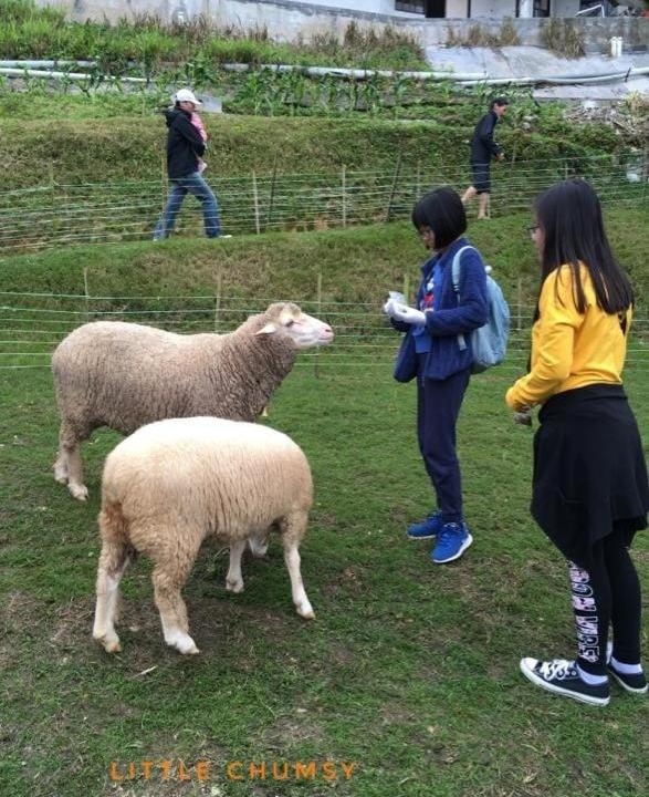 Photo of Others in Brinchang