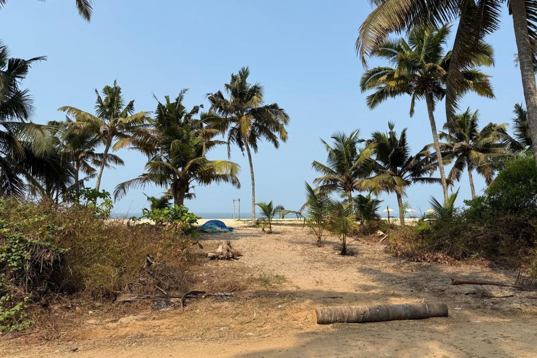 Photo of Others in Mararikulam
