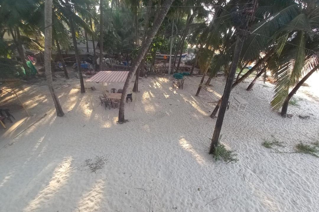 Photo of Others in Devbag
