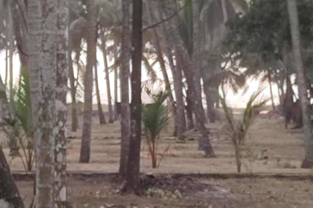 Photo of Others in Chavakkad