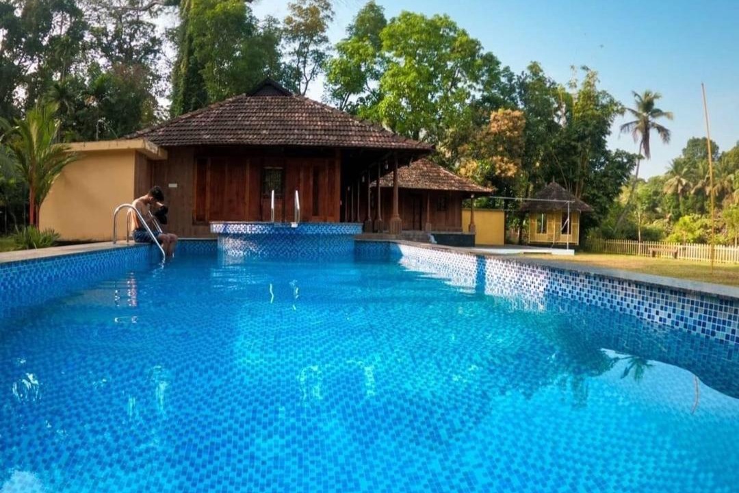 Photo of Others in Devikolam