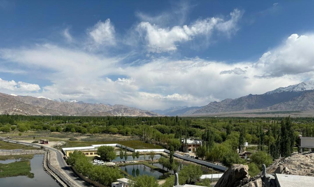 Photo of Others in Leh