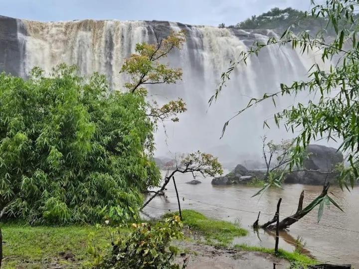 Photo of Others in Irinjalakuda