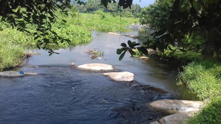 Photo of Others in Palakkad