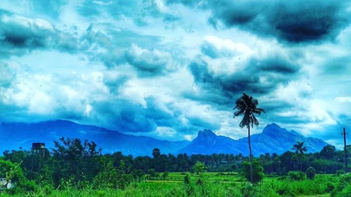 Photo of Others in Palakkad