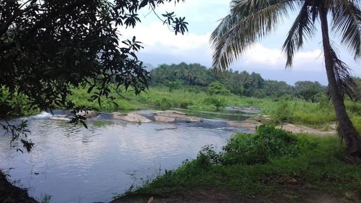 Photo of Others in Palakkad