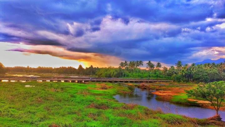 Photo of Others in Palakkad