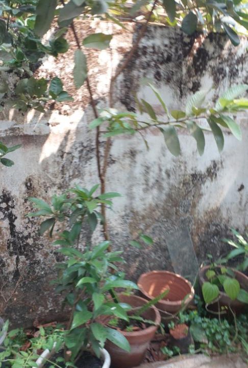 Photo of Others in Kumbla