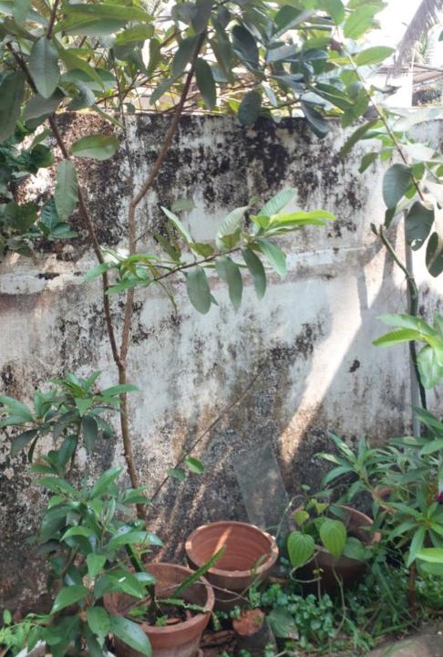 Photo of Others in Kumbla