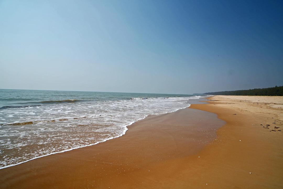 Photo of Others in Balasore