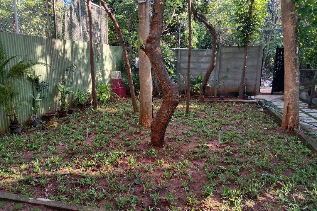 Photo of Outdoor in Bommayapalayam