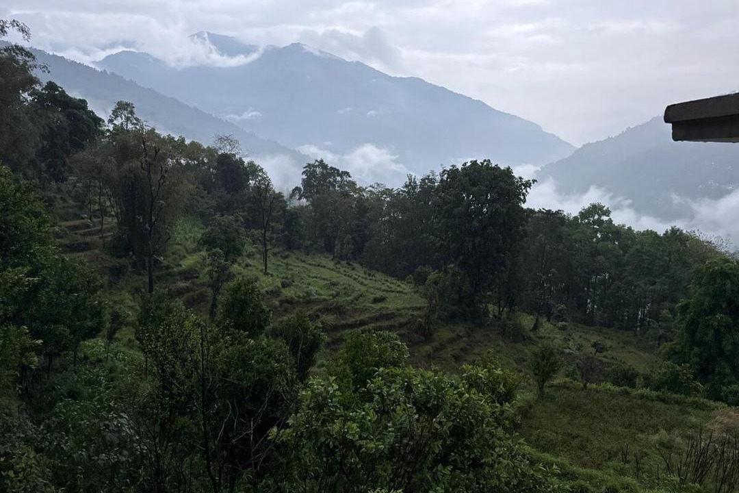 Photo of Others in Rumtek