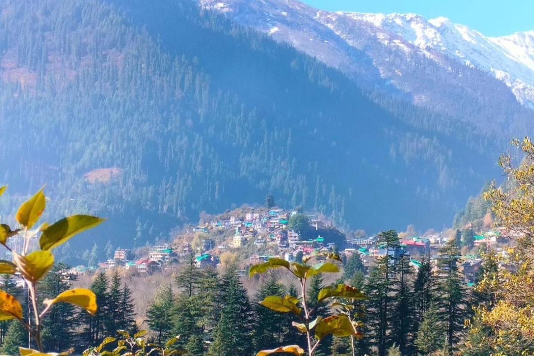 Photo of Others in Vashist