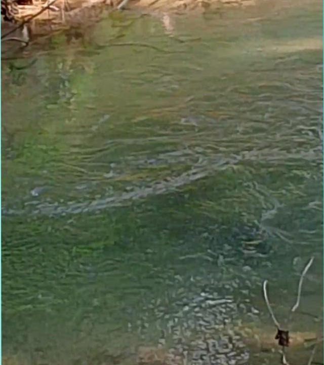 Photo of Human In Picture in Jerteh