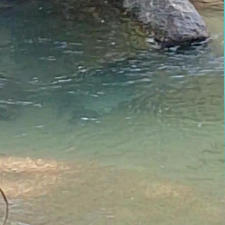 Photo of Others in Jerteh