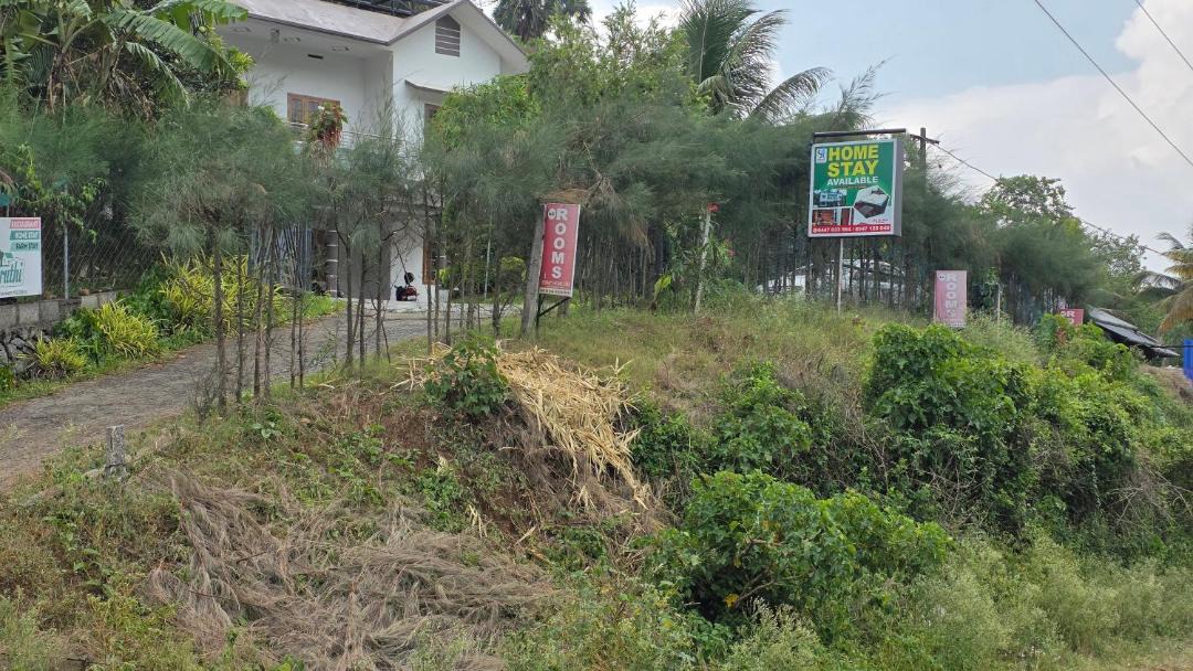 Photo of Others in Mannarkkad