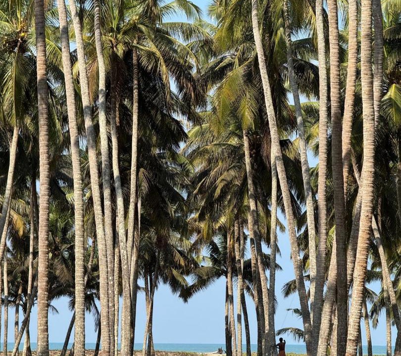 Photo of Others in Chavakkad