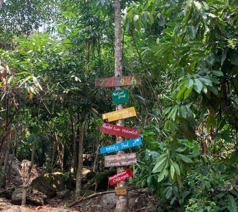 Photo of Outdoor in Devikolam