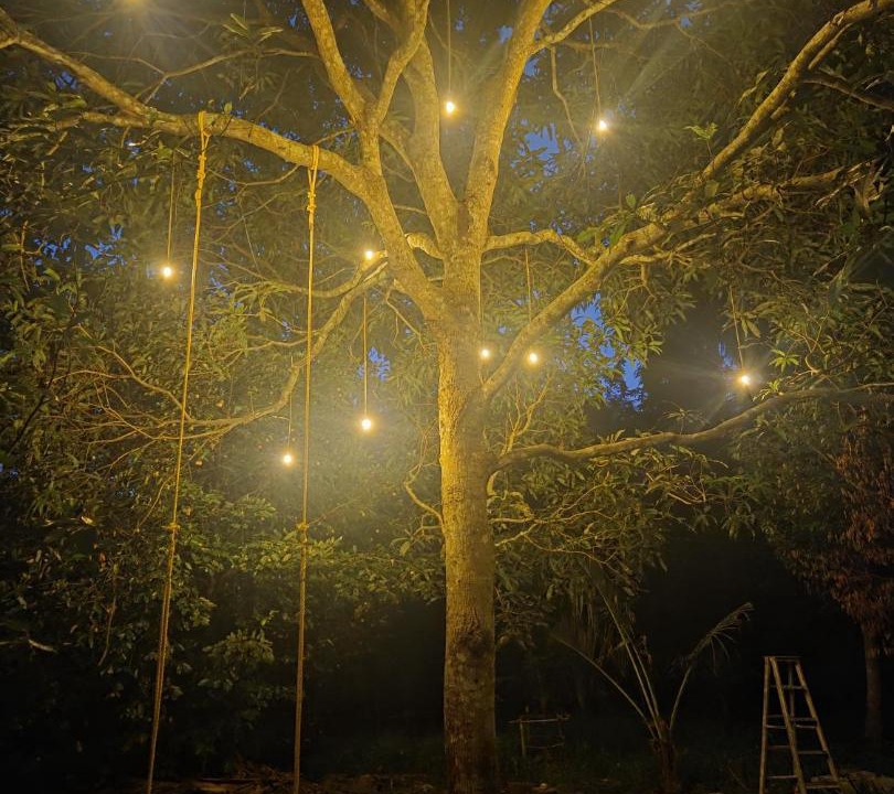 Photo of Outdoor in Eramalloor