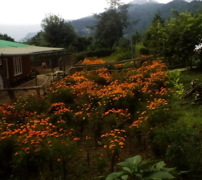 Photo of Others in Mirik