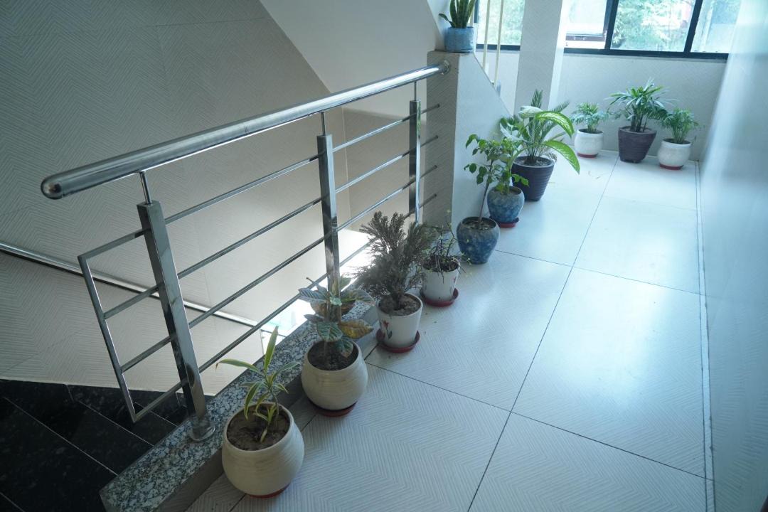 Photo of Patio Balcony in Ludhiana