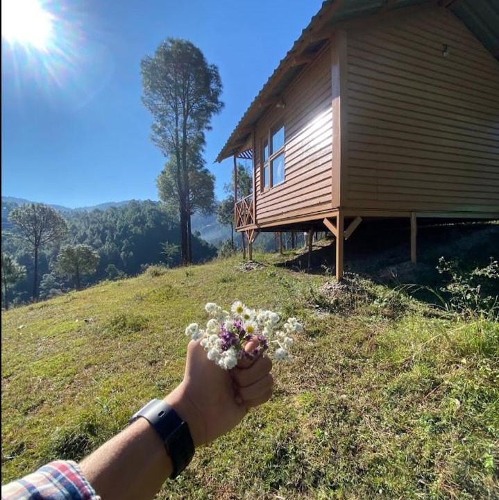 Photo of Others in Chail