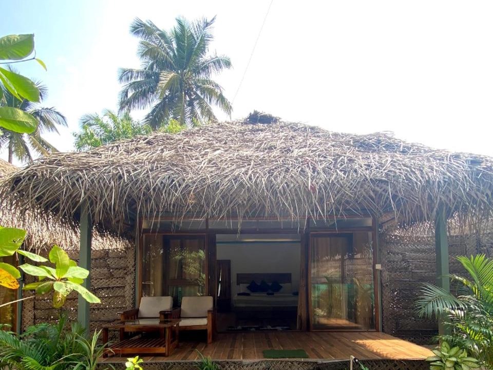 Photo of Others in Agonda
