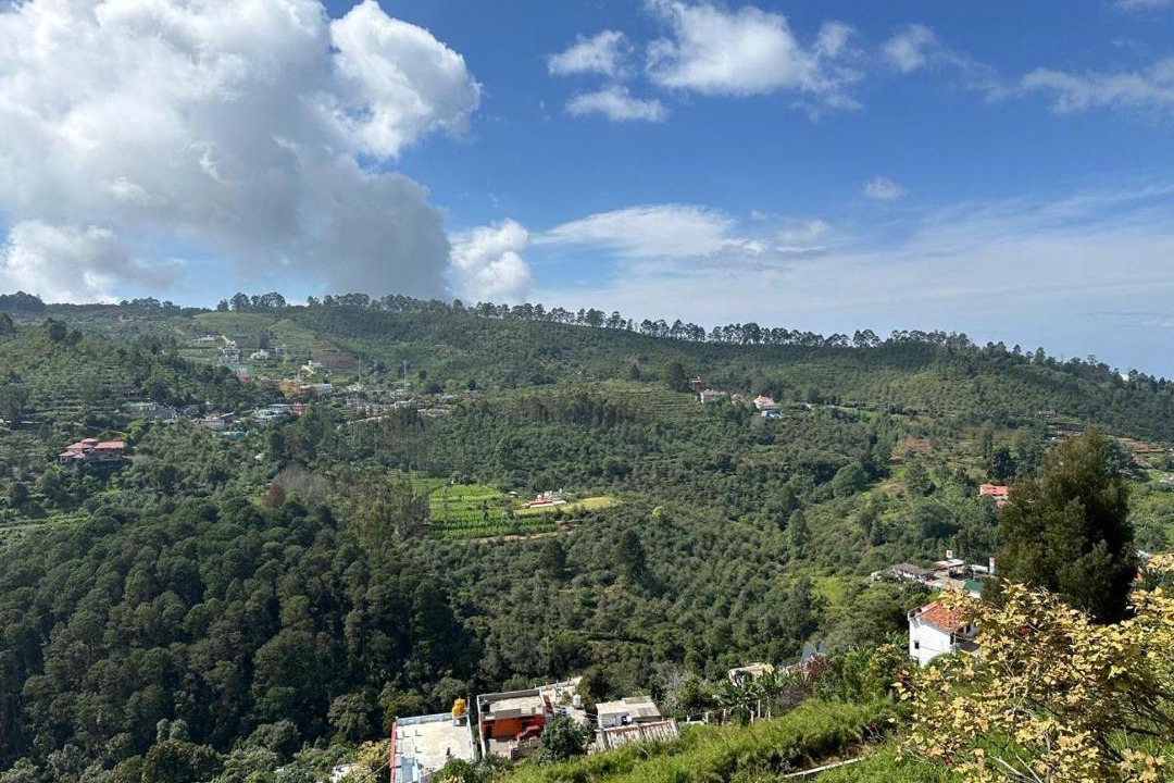 Photo of Others in Kodaikanal