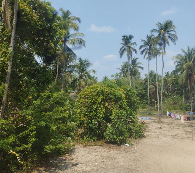 Photo of Others in Chavakkad