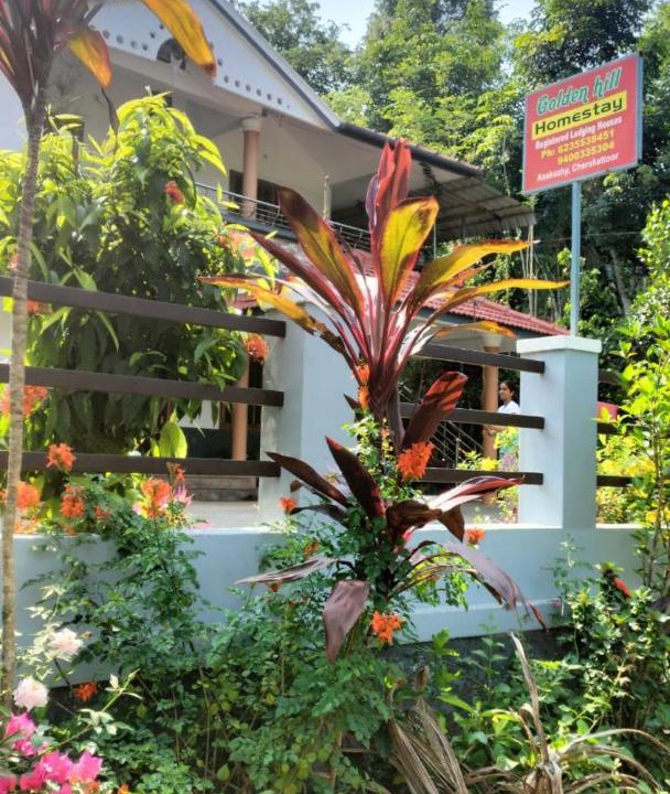 Photo of Others in Mananthavady