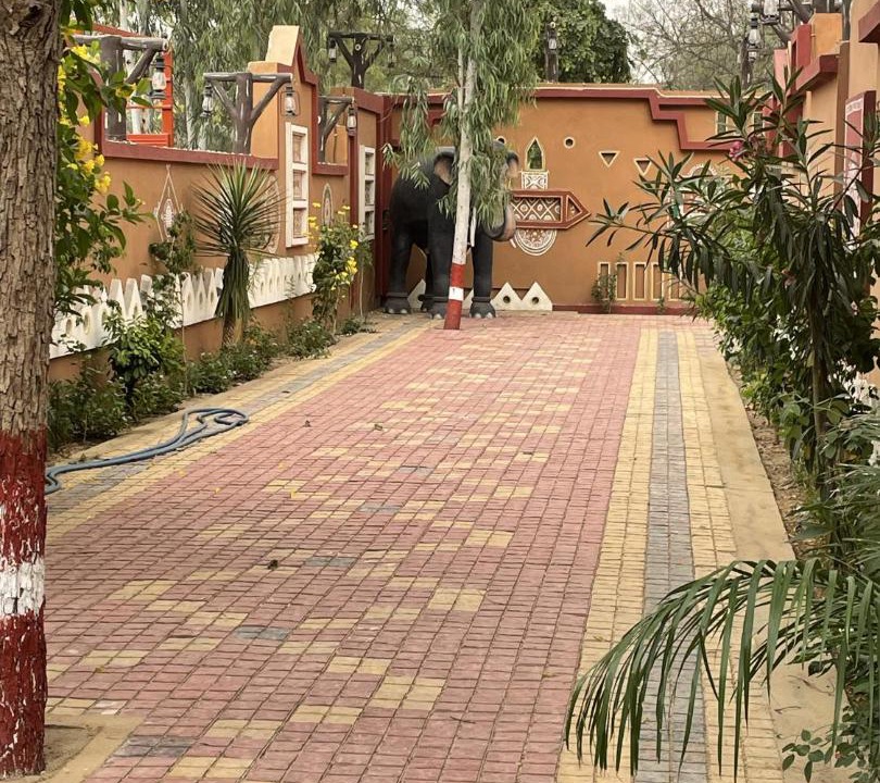 Photo of Others in Hisar