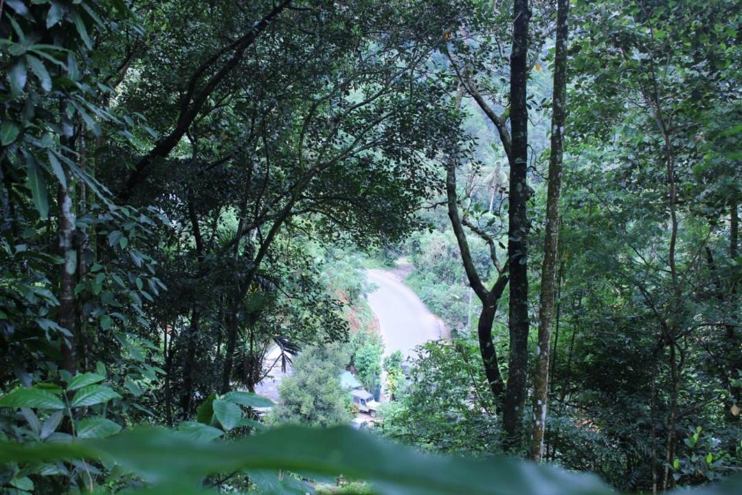 Photo of Others in Anaviratty