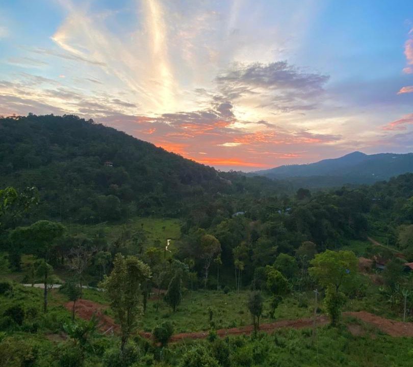 Photo of Others in Malappuram